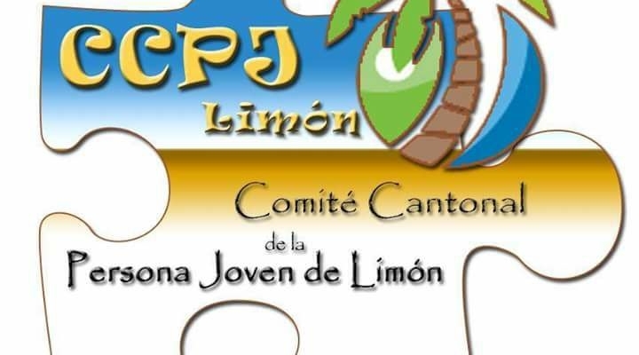 Proceso para la Conformación del Comité Cantonal de la Persona Joven